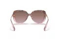 Coach C6180 HC 8320 56505M 55 Women sunglasses