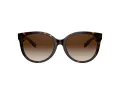Coach C6181 HC 8321 51203B 55 Women sunglasses