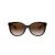 Coach C6181 HC 8321 51203B 55 Women sunglasses
