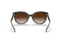 Coach C6181 HC 8321 51203B 55 Women sunglasses