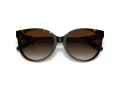 Coach C6181 HC 8321 51203B 55 Women sunglasses
