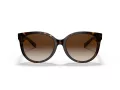 Coach C6181 HC 8321 51203B 55 Women sunglasses