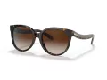 Coach C6181 HC 8321 51203B 55 Women sunglasses