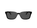 Coach C6196 HC 8328U 500287 57 Men sunglasses