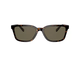 Coach C6196 HC 8328U 512003 57 Men sunglasses