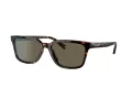 Coach C6196 HC 8328U 512003 57 Men sunglasses