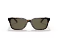 Coach C6196 HC 8328U 512003 57 Men sunglasses
