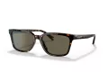 Coach C6196 HC 8328U 512003 57 Men sunglasses