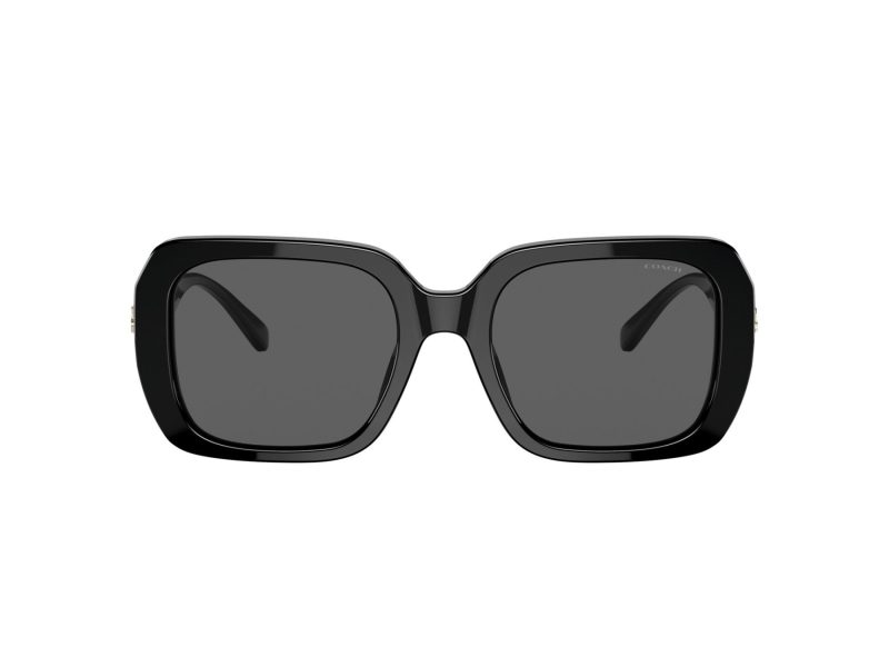 Coach C6188 HC 8329U 500287 53 Women sunglasses