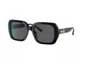 Coach C6188 HC 8329U 500287 53 Women sunglasses