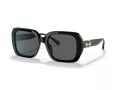 Coach C6188 HC 8329U 500287 53 Women sunglasses
