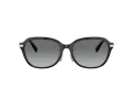 Coach C6199 HC 8332D 500211 56 Women sunglasses