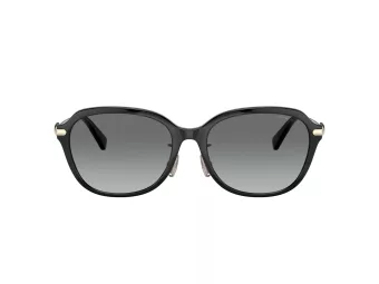 Coach C6199 HC 8332D 500211 56 Women sunglasses
