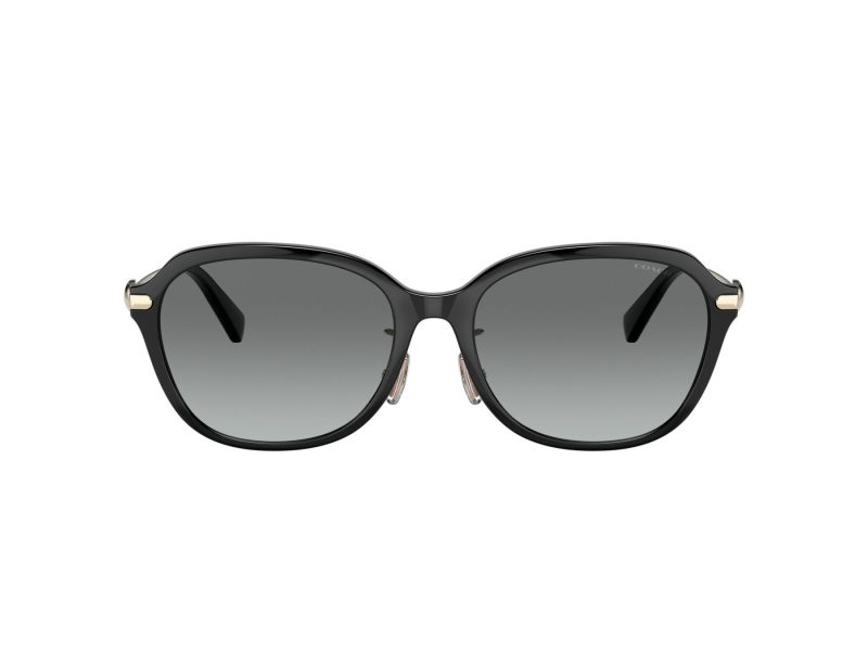 Coach C6199 HC 8332D 500211 56 Women sunglasses