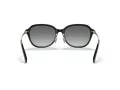 Coach C6199 HC 8332D 500211 56 Women sunglasses