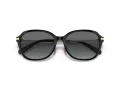 Coach C6199 HC 8332D 500211 56 Women sunglasses