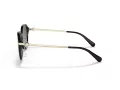 Coach C6199 HC 8332D 500211 56 Women sunglasses