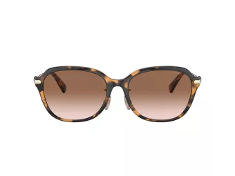 Coach C6199 HC 8332D 512013 56 Women sunglasses