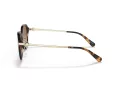 Coach C6199 HC 8332D 512013 56 Women sunglasses