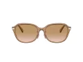 Coach C6199 HC 8332D 565413 56 Women sunglasses