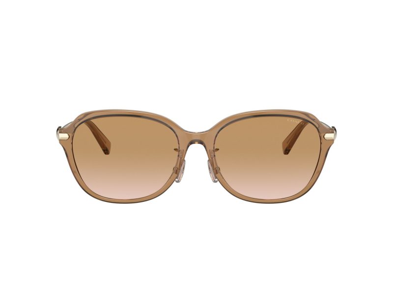 Coach C6199 HC 8332D 565413 56 Women sunglasses