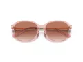 Coach C6199 HC 8332D 566613 56 Women sunglasses