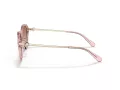 Coach C6199 HC 8332D 566613 56 Women sunglasses