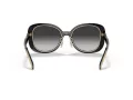 Coach C7995 8333 50023C 53 Women sunglasses