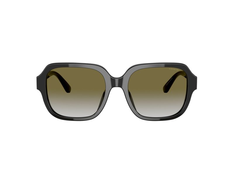 Coach C7989 HC 8335U 50027Z 53 Women sunglasses