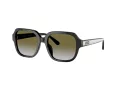 Coach C7989 HC 8335U 50027Z 53 Women sunglasses