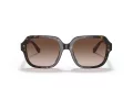 Coach C7989 HC 8335U 512013 53 Women sunglasses