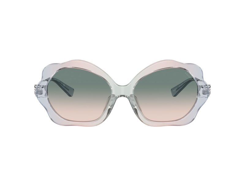 Coach C9200 HC 8346BU 56422C 55 Women sunglasses