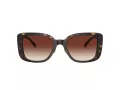 Coach Cd472 HC 8352 512013 54 Women sunglasses