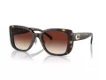 Coach Cd472 HC 8352 512013 54 Women sunglasses