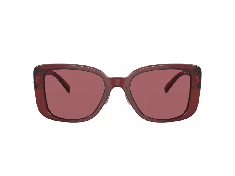 Coach Cd472 HC 8352 571369 54 Women sunglasses