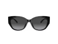 Coach Ch563 HC 8362U 50028G 57 Women sunglasses