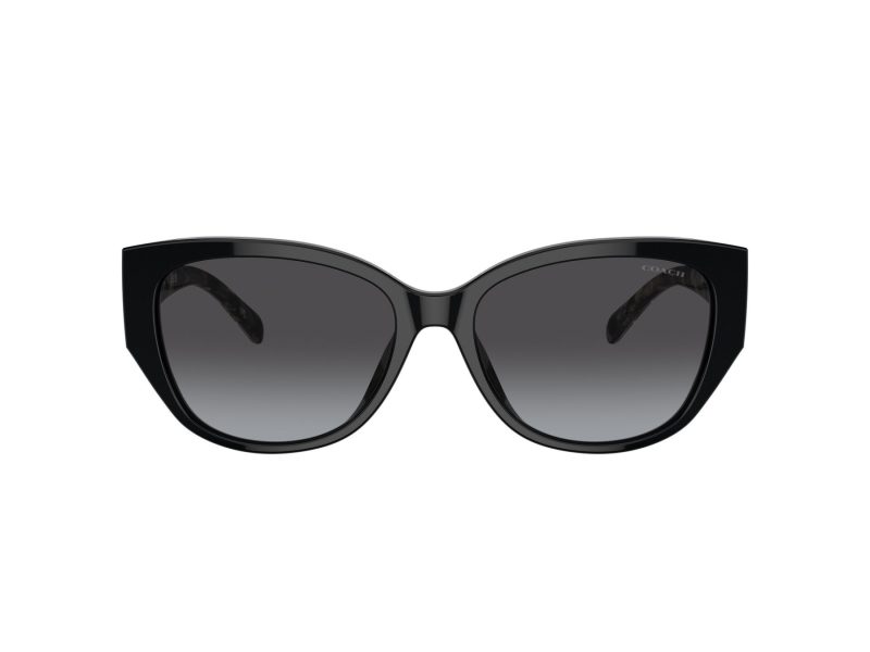 Coach Ch563 HC 8362U 50028G 57 Women sunglasses