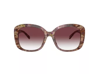 Coach Ch564 HC 8363U 57398H 56 Women sunglasses