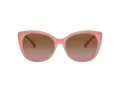 Coach Ch566 HC 8365U 574313 55 Women sunglasses
