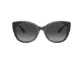 Coach Ch566 HC 8365U 57458G 55 Women sunglasses