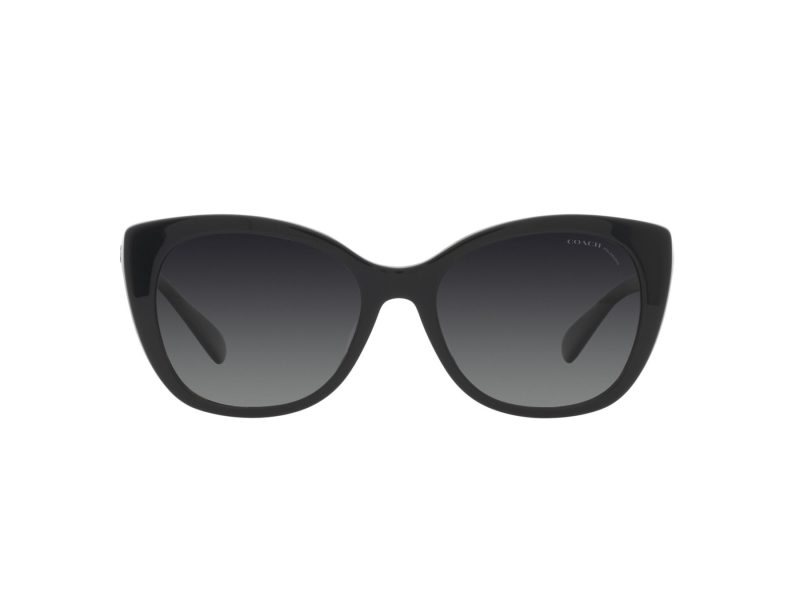 Coach Ch566 HC 8365U 5764T3 55 Women sunglasses