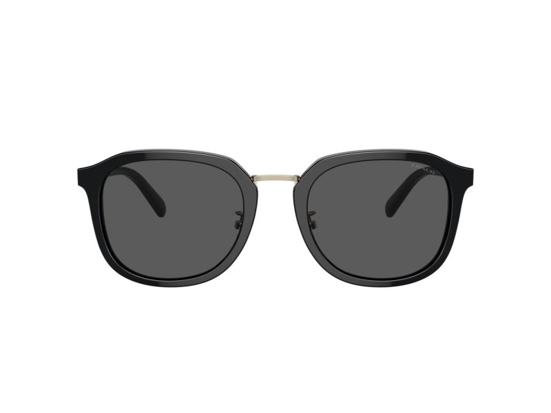 Coach Ch577 HC 8366 500287 54 Men sunglasses