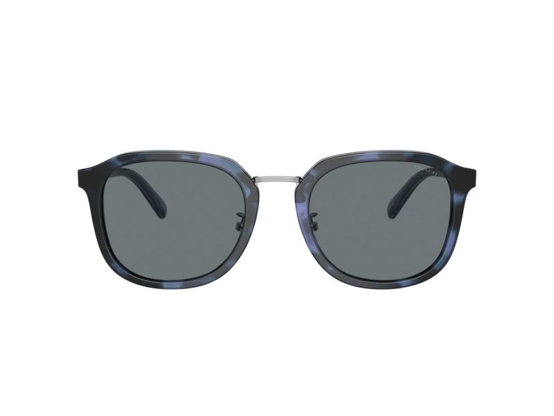 Coach Ch577 HC 8366 575480 54 Men sunglasses