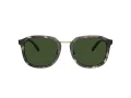 Coach Ch577 HC 8366 575571 54 Men sunglasses
