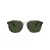 Coach Ch577 HC 8366 575571 54 Men sunglasses