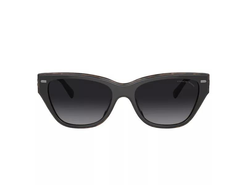 Coach Ch570 HC 8370U 5764T3 54 Women sunglasses