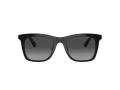 Coach Ch561 HC 8374U 50028G 51 Women sunglasses
