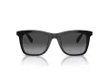 Coach Ch561 HC 8374U 50028G 51 Women sunglasses