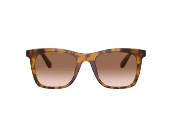 Coach Ch561 HC 8374U 512013 51 Women sunglasses