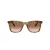 Coach Ch561 HC 8374U 512013 51 Women sunglasses